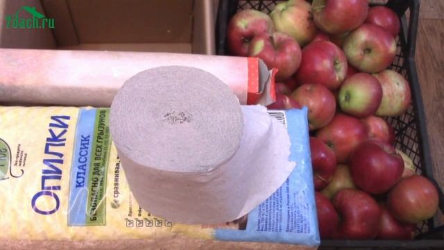 ? Как сохранить урожай. Собираем поздние яблоки. Способы закладки на хранение - 7 дач смотреть онлайн