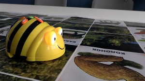 Вариант игры «Зоопарк» с использованием программируемого мини-робота Bee-Bot «УМНАЯ ПЧЕЛА»
