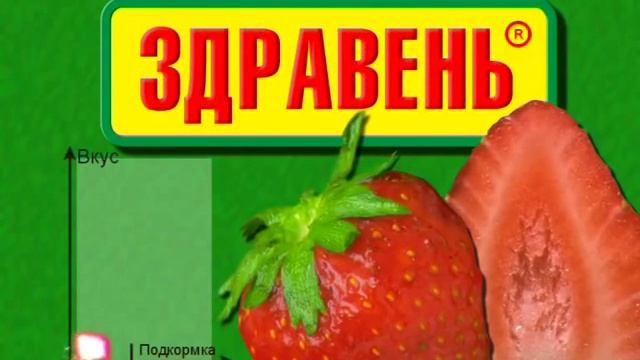 Здравень для клубники и малины смотреть онлайн