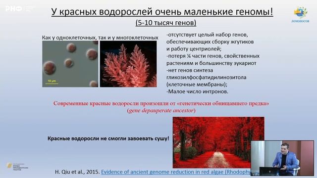 «Охота на микробов»: новые виды гетеротрофных протистов в прояснении эволюции эукариот смотреть онлайн
