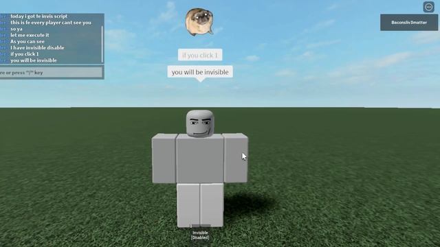[FE] ROBLOX INVISIBLE SCRIPT | NO HATS NEEDED! смотреть онлайн