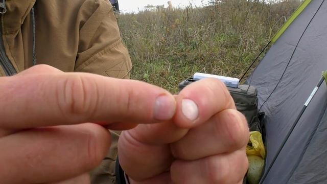 Лучшая презентация «Тигрового ореха» для карповой ловли смотреть онлайн