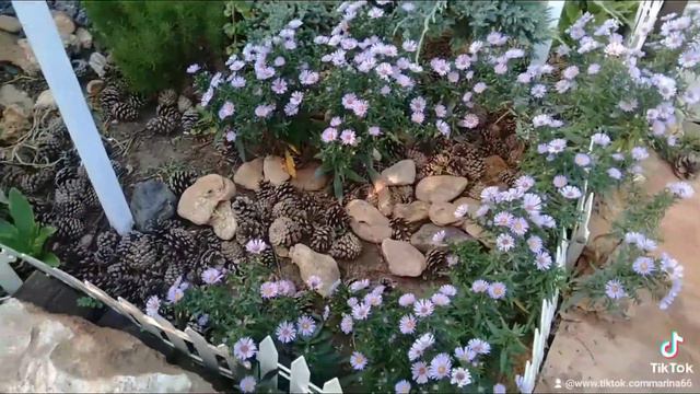 💖💐А давайте вспомним осень🌾 смотреть онлайн