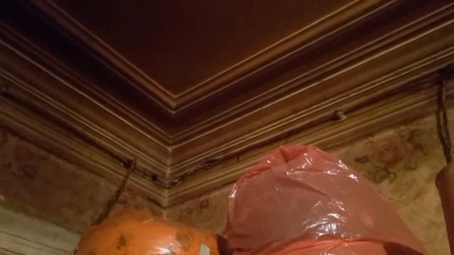 Условия содержания родственников сотрудницы ФСБ