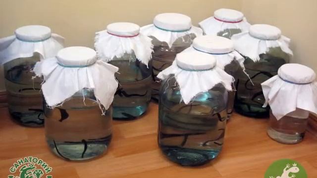 Санаторий «Самоцвет», отзывы, обзор санатория.