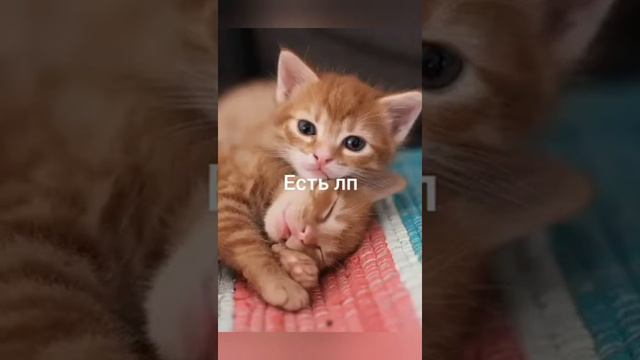 пой эту песню если ты..(1 часть) смотреть онлайн