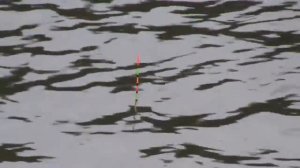 Рыбалка в Японии на поплавок. Японская рыба 10 кг