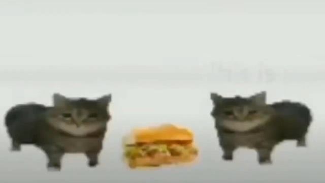 This Is A. Sandwich ALL VERSIONS