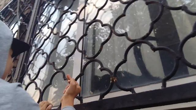 Как мой друг издевается над котами смотреть онлайн