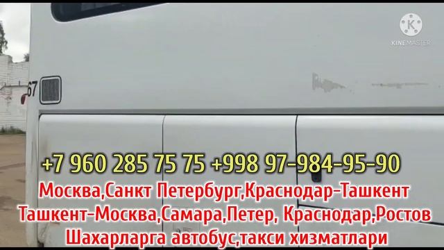 Санкт-Петербург Ташкент автобус/ Краснодар Ташкент автобус/Ташкент Москва автобус смотреть онлайн