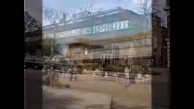 London Zoo is amazing смотреть онлайн