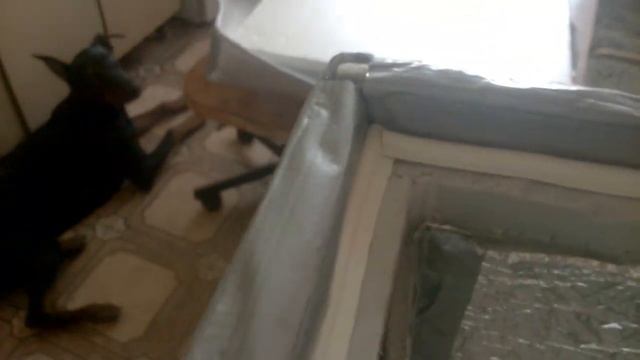 Термо сумка у домашніх умовах своїми руками смотреть онлайн