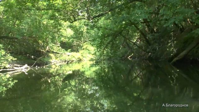 Сплав на байдарке по Б. Кинелю 3 день. смотреть онлайн