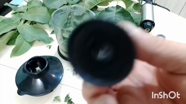 Рефрактометр в ореховом саду. Контроль качества жизни сада. смотреть онлайн