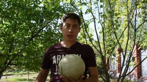 Аккумуляторная воздуходувка Greenworks GD40BV