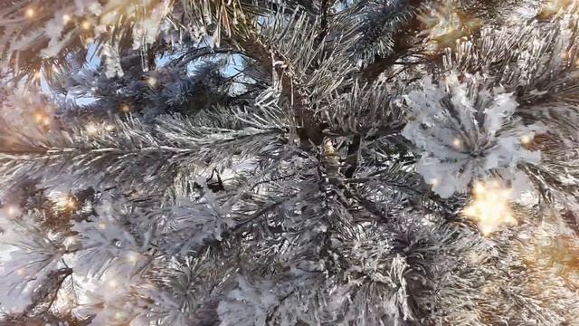 Все ЗЛОБНИКИ отвернутся. Обряд и заговор чтоб уничтожить врагов. Энергия слова. смотреть онлайн