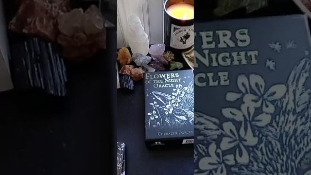 Taurus - Flowers of the Night Oracle смотреть онлайн