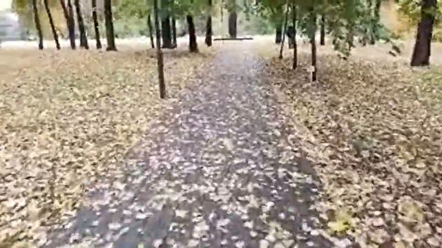 " Патриотизм" чиновников Ярославля смотреть онлайн