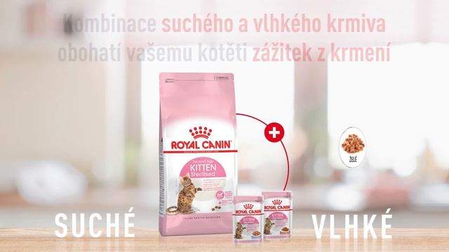 KITTEN sterilised - kompletní superprémiové krmivo pro kastrovaná koťata | Royal Canin смотреть онлайн