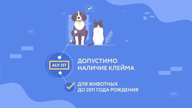 Перевозка животных на Украину смотреть онлайн