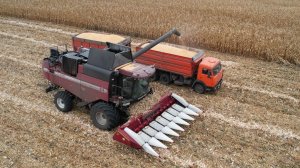 Сельскохозяйственные профессии – выбор будущего