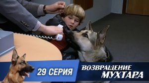 «Возвращение Мухтара»: «Атака с воздуха» (1 сезон. 29 серия)