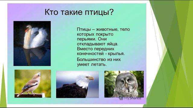 Примение уроках окружающего мира и технологии ПК Фантазеры.mp4 смотреть онлайн