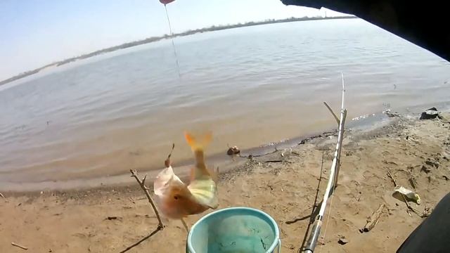 Весенняя рыбалка на червя ловля на донку ОКУНЯ и КАРАСЯ. смотреть онлайн