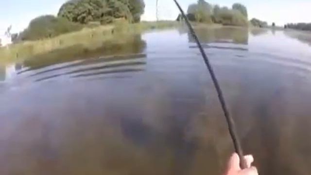 Карп. Рыбалка на карпа в зарослях смотреть онлайн