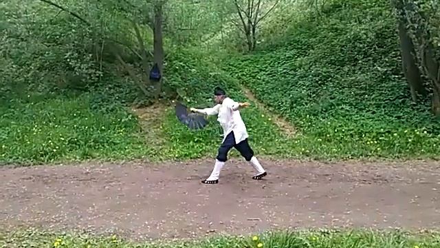 Тай цзи шань шу. Искусство владения веером Великого предела смотреть онлайн