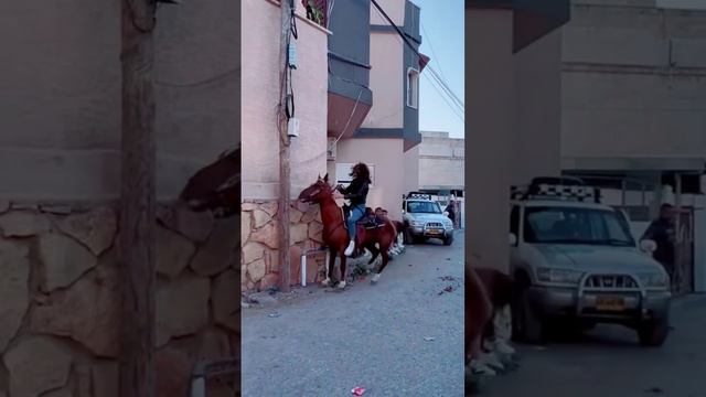 Девушка ЗАЖИГАЕТ на лошади смотреть онлайн