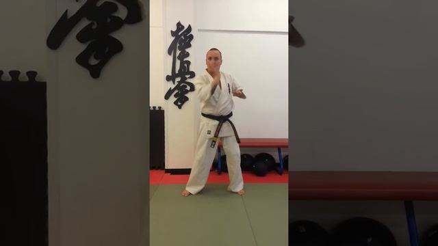 Ikk Kent Warriors syllabus 5th kyu смотреть онлайн