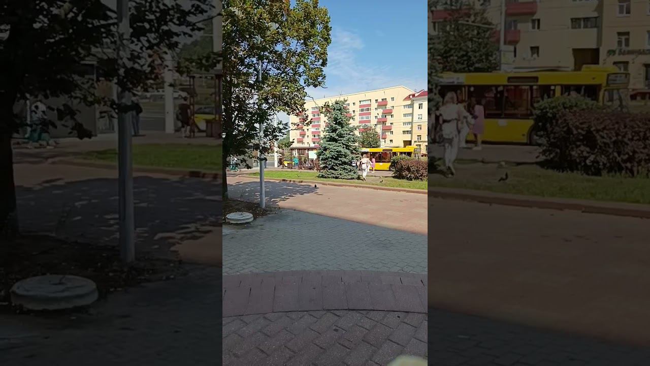 respect 1908241202 #asmr #travel #remix #jarelik смотреть онлайн