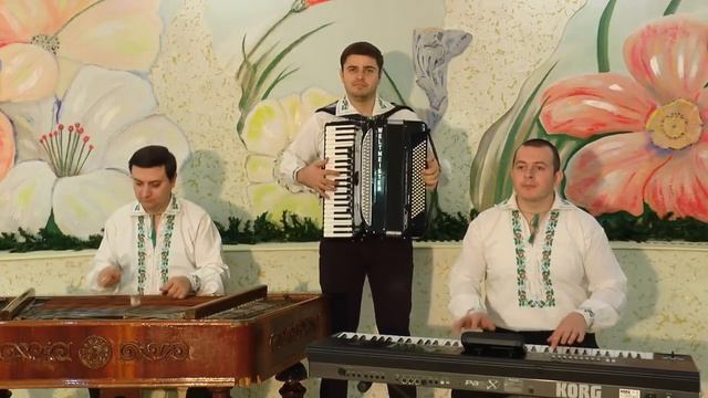 TARAF MOLDOVA Sirba Instrumentala NEW 2016 смотреть онлайн