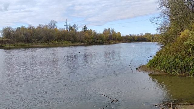 Устье рек Шарьинка и Ветлуга. смотреть онлайн