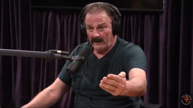 Joe Rogan - Jake The Snake on Andre the Giant смотреть онлайн