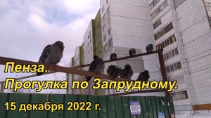 Пенза. Прогулка по Запрудному. 15.12.2022