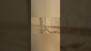 Герметизация душевой кабины.