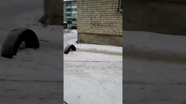 Школьник плюнул в камеру и меня часть 2 смотреть онлайн
