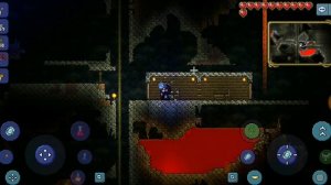 КАК ПРАВЕЛЬНО ПОЛЬЗОВАТЬСЯ БЛОКОМ СТОЛБ ЛЕСА В ТЕРРАРИИ!!!