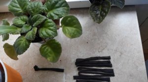 Шнур для фитильного полива, который тянет на ура!!!