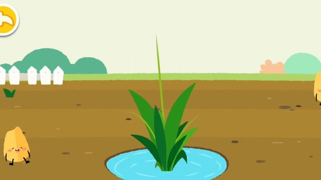 Baby bus fruit farm (paddy) смотреть онлайн