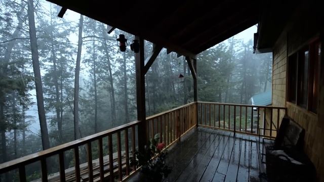⛈⛈Heavy Rain?? and ⚡Thunder⚡ in the Farmhouse-Rain Storm Deep in the FOREST-Sleep-Study-Relax смотреть онлайн