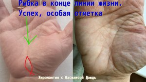 Рыбка в конце линии жизни. Кармический знак успеха, удачи. Хиромантия
