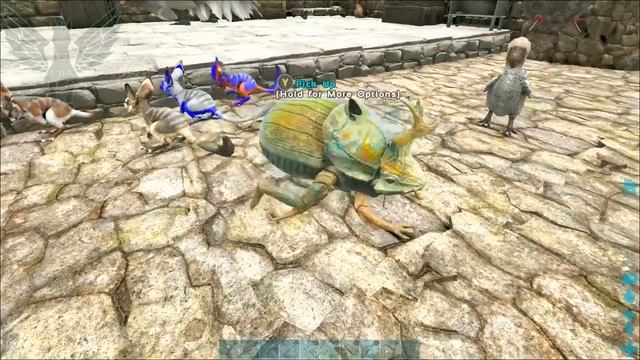 ARK 2019 TIPS AND TRICKS: DUNG BEETLE WEIGHT TRICK смотреть онлайн