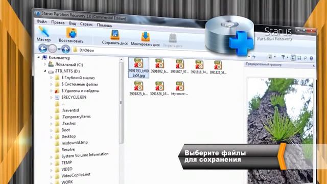 Starus File Recovery смотреть онлайн
