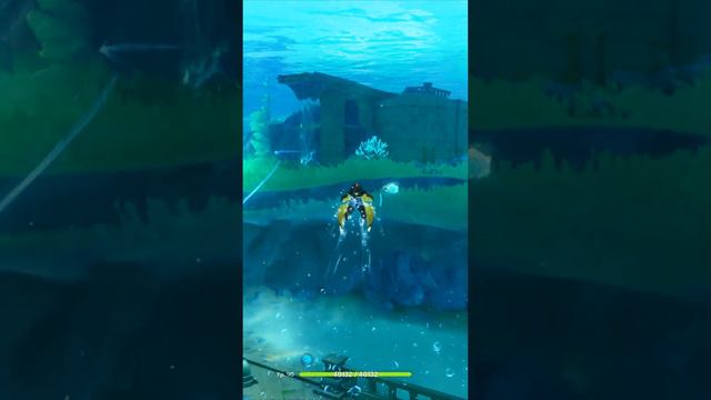 Тайные путешествия в дикую природу и заповедники