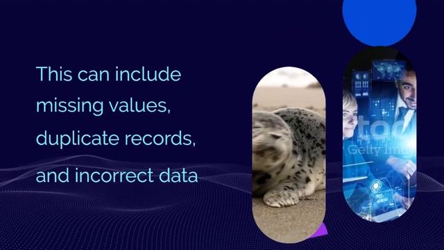 Data wrangling : Process of cleaning and preparing data for analysis смотреть онлайн