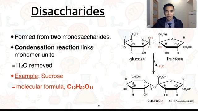 Stage 2 Chemistry 3.4 Carbohydrates смотреть онлайн