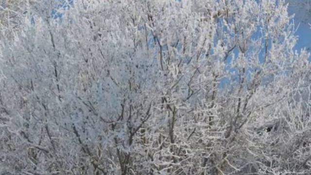 Зима - зима красавица! смотреть онлайн